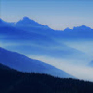 Meet your Posher, Zachary